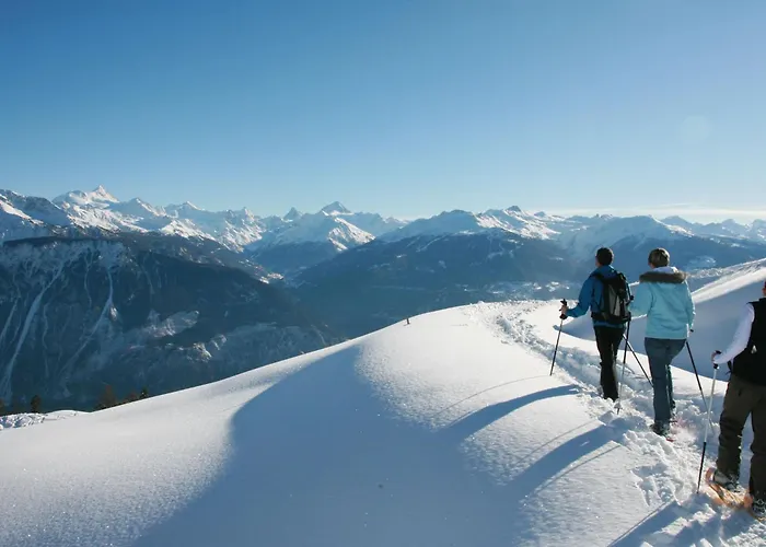 Parc 2 By Interhome * Crans-Montana